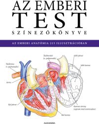 Az emberi test színezőkönyve (ISBN: 9786151111161)