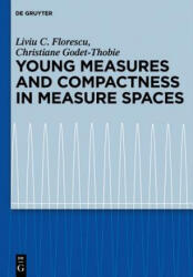 Young Measures and Compactness in Measure Spaces - Liviu C. Florescu, Christiane Godet-Thobie (ISBN: 9783110276404)