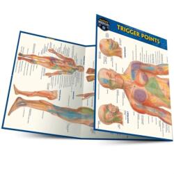 Trigger points (2025)