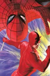 Spider-Man & Daredevil (ISBN: 9781804914335)