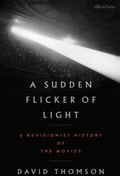 A Sudden Flicker of Light (ISBN: 9780241843345)