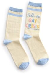 Heartstopper: Full-on Gay Crisis Socks - Small (ISBN: 9798217431212)