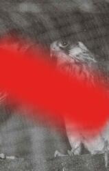 Modern Animal (ISBN: 9798994314401)