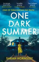 One Dark Summer (ISBN: 9781399725910)