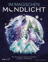 Im magischen Mondlicht (ISBN: 9783747407455)