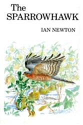 The Sparrowhawk (ISBN: 9781408138342)