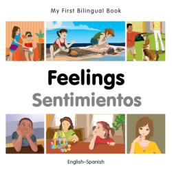 My First Bilingual Book - Feelings (ISBN: 9781785080821)