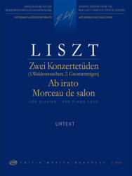 AB IRATO, ZWEI KONZERTETÜDEN FÜR KLAVIER (ISBN: 9786300156258)