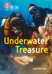 Underwater Treasure (ISBN: 9780008163846)