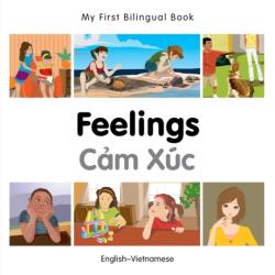 My First Bilingual Book - Feelings (ISBN: 9781785080852)