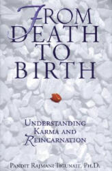 From Death to Birth - Pandit Rajmani Tigunait (ISBN: 9780893891473)