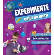 Caiet de lucru. Experimente (2014)