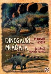 Pui de dinozauri (ISBN: 9788076842816)