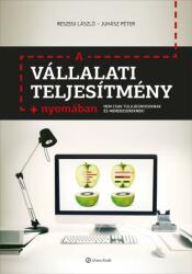 A vállalati teljesítmény nyomában (2014)