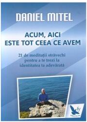 Acum, aici este tot ceea ce avem. 21 de meditatii stravechi pentru a te trezi la identitatea ta adevarata - Daniel Mitel (ISBN: 9786066390712)