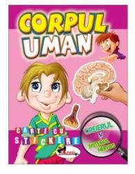 Corpul uman. Creierul si sistemul nervos (ISBN: 9786067060263)