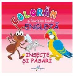 COLORAM SI INVATAM LIMBA ENGLEZA. INSECTE SI PASARI - Roxana Geanta (ISBN: 9786068578026)