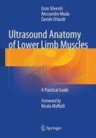 Ultrasound Anatomy of Lower Limb Muscles: A Practical Guide (2014)
