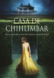 Casa de chihlimbar (ISBN: 9786066096621)