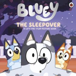 Bluey: The Sleepover (ISBN: 9780241780411)