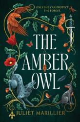 The Amber Owl (ISBN: 9781837867721)