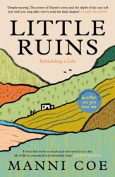 Little Ruins (ISBN: 9781837263233)