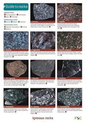 A Guide to Common Rocks (ISBN: 9781851538881)