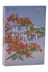 NRSV Catholic Edition Bible, Royal Poinciana Paperback (ISBN: 9781400337194)