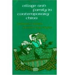 Village and Family in Contemporary China (ISBN: 9780226645919)