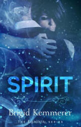 Brigid Kemmerer - Spirit - Brigid Kemmerer (ISBN: 9780758272836)
