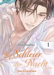 Im Schleier der Nacht: Das Erwachen 01 (ISBN: 9783741648205)