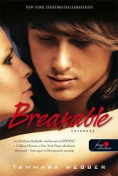 Breakable - Törékeny (2014)