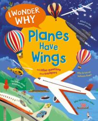 I Wonder Why Planes Have Wings (ISBN: 9780753479902)