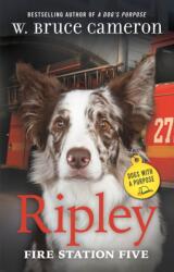 Ripley: Fire Station Five (ISBN: 9781250815590)