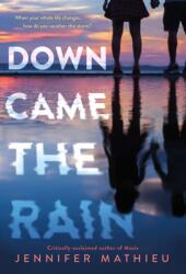 Down Came the Rain (ISBN: 9781250346896)