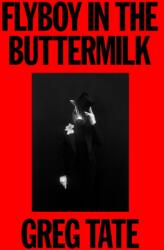 Flyboy in the Buttermilk (ISBN: 9780374394608)