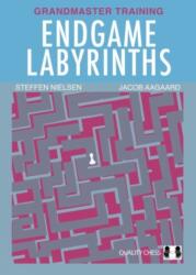 Endgame Labyrinths (ISBN: 9781784831530)