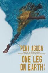 One Leg on Earth (ISBN: 9781324065876)