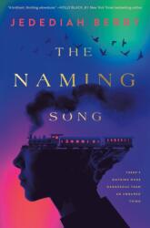 Naming Song (ISBN: 9781250908025)