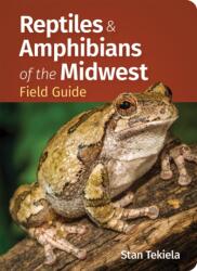 Reptiles & Amphibians of the Midwest Field Guide - Stan Tekiela (ISBN: 9781647555986)