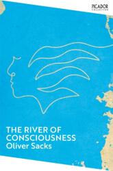 The River of Consciousness (ISBN: 9781035091416)