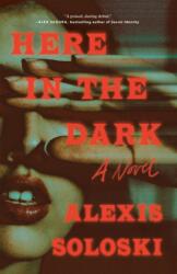 Here in the Dark (ISBN: 9781250883049)