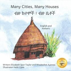 Many Cities, Many Houses (ISBN: 9798353691501)