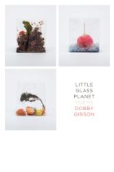 Little Glass Planet (ISBN: 9781555978426)
