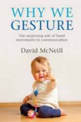 Why We Gesture - David McNeill (ISBN: 9781316502365)