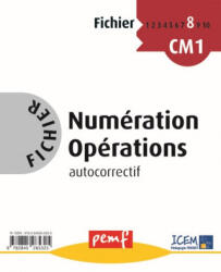 Fichier Numération Opérations CM1 NIVEAU 2 Fichier 8 - Frein (2008)