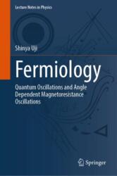 Fermiology (ISBN: 9789819508198)