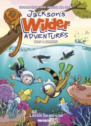 Jackson's Wilder Adventures Vol. 3 (ISBN: 9781545827246)