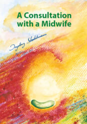 Consultation with a Midwife - Ingeborg Stadelmann (ISBN: 9783969140369)