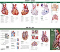 Anatomical Chart Company's Illustrated Pocket Anatomy: Anatomy of The Heart Study Guide - Anatomical Chart Company (ISBN: 9780781776813)